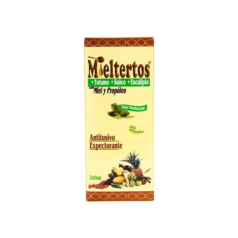 MIELTERTOS JARABE 240 ML