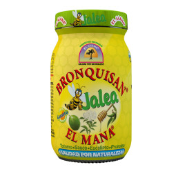 BRONQUISAN JALEA 240 ML