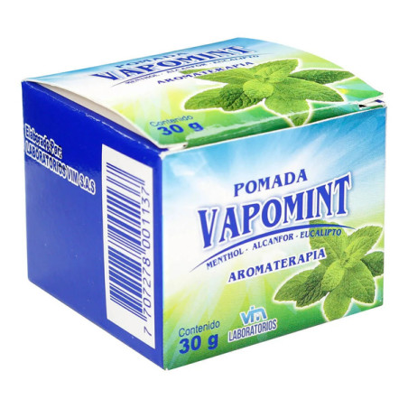 VAPOMINT POMADA 30 G