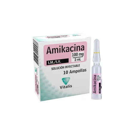 AMIKACINA 100 MG/2 ML 10 AMPOLLAS VT              