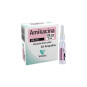 AMIKACINA 100 MG/2 ML 10 AMPOLLAS VT              