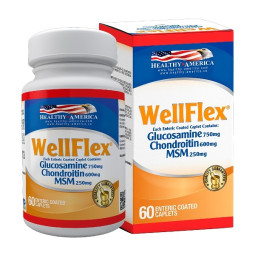WELLFLEX 60 CAPSULAS BLANDAS HEALTHY AMERICA
