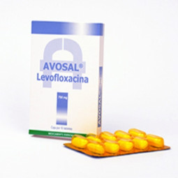 AVOSAL 750 MG 10 TABLETAS